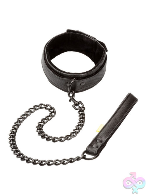 Leashes for Bondage
