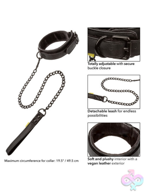 Leashes for Bondage