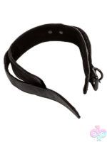Unlimited Collar With Leash - Image 9