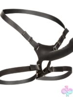 Boundless Rechargeable Multi-Purpose Harness – Black - Image 2