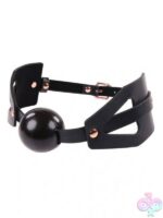 Ball and Mouth Gags for Bondage