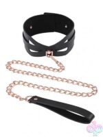 Leashes for Bondage