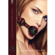 Ball and Mouth Gags for Bondage