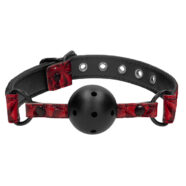 Ball and Mouth Gags for Bondage