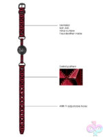 Ball and Mouth Gags for Bondage