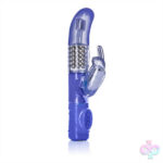 CalExotics Sex Toys - Advanced G Jack Rabbit - Purple