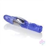 CalExotics Sex Toys - Advanced G Jack Rabbit - Purple