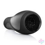 CalExotics Sex Toys - Apollo Power Strokers - Black