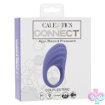 Calexotics Connect Couples Ring - Periwinkle