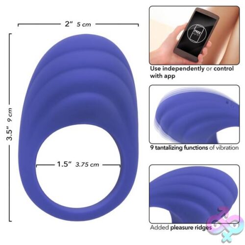 Calexotics Connect Couples Ring - Periwinkle - Image 15