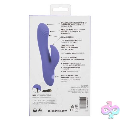 Calexotics Connect Dual Stimulator - Periwinkle - Image 10
