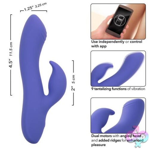 Calexotics Connect Dual Stimulator - Periwinkle - Image 15