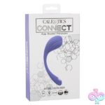 Calexotics Connect Kegel Exerciser - Periwinkle - Image 10