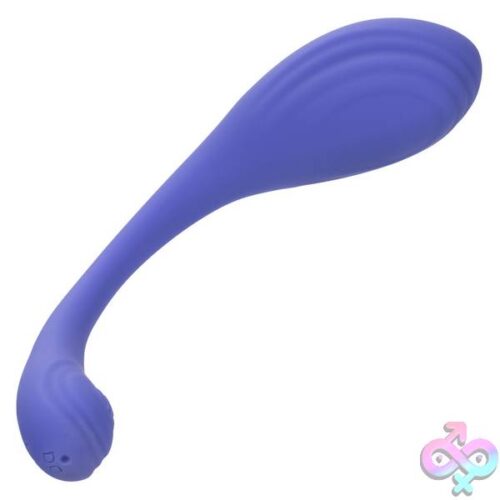 Calexotics Connect Kegel Exerciser - Periwinkle - Image 12