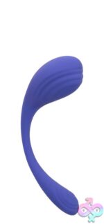 Calexotics Connect Kegel Exerciser - Periwinkle - Image 14