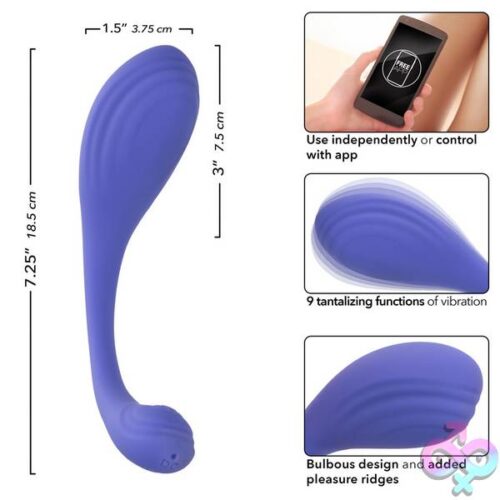 Calexotics Connect Kegel Exerciser - Periwinkle - Image 15