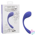 Calexotics Connect Kegel Exerciser - Periwinkle - Image 17