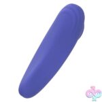 Calexotics Connect Panty Teaser - Periwinkle - Image 11