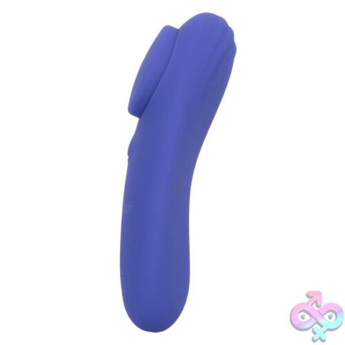 Calexotics Connect Panty Teaser - Periwinkle - Image 12
