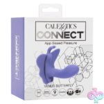 Calexotics Connect Venus Butterfly - Periwinkle