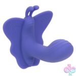 Calexotics Connect Venus Butterfly - Periwinkle - Image 12