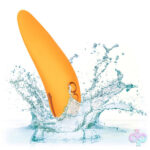 CalExotics Sex Toys - California Dreaming Hollywood Hottie