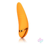 CalExotics Sex Toys - California Dreaming Hollywood Hottie