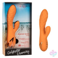 CalExotics Sex Toys - California Dreaming Newport Beach Babe