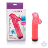 CalExotics Sex Toys - Climatic Climaxer