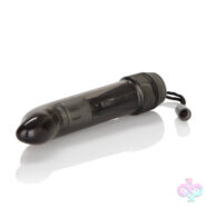 CalExotics Sex Toys - Dr. Joel Perineum Massager 4.5