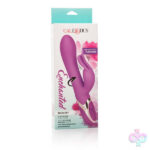CalExotics Sex Toys - Enchanted Bunny