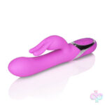 CalExotics Sex Toys - Enchanted Bunny