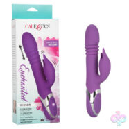 CalExotics Sex Toys - Enchanted Kisser - Purple