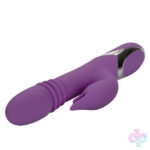 CalExotics Sex Toys - Enchanted Kisser - Purple