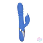 CalExotics Sex Toys - Enchanted Teaser - Blue