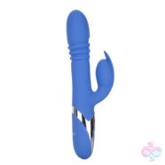 CalExotics Sex Toys - Enchanted Teaser - Blue