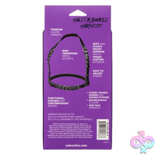 Euphoria Collection Halter Buckle Harness - Black - Image 2