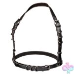 Euphoria Collection Halter Buckle Harness - Black - Image 3