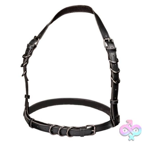 Euphoria Collection Halter Buckle Harness - Black - Image 3