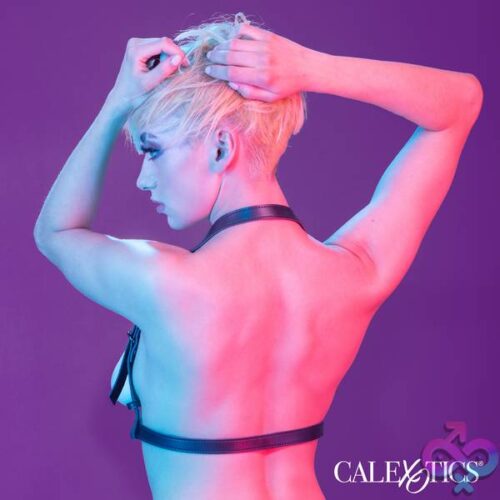 Euphoria Collection Halter Buckle Harness - Black - Image 4