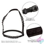 Euphoria Collection Halter Buckle Harness - Black - Image 5