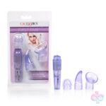 CalExotics Sex Toys - First Time Travel Teaser Kit - Purple