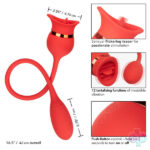 CalExotics Sex Toys - French Kiss Casanova