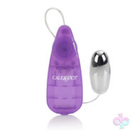CalExotics Sex Toys - Her Kegel Kit