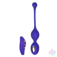 CalExotics Sex Toys - Impulse Intimate E-Stimulator Dual Kegel