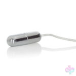 CalExotics Sex Toys - Impulse Pocket Paks Slim Silver Bullet