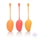 CalExotics Sex Toys - Kegel Training Set Mango