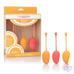 CalExotics Sex Toys - Kegel Training Set Mango