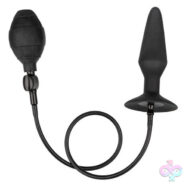 CalExotics Sex Toys - Large Silicone Inflatable Plug