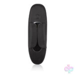 CalExotics Sex Toys - Lock-N-Play Remote Petite Panty Teaser